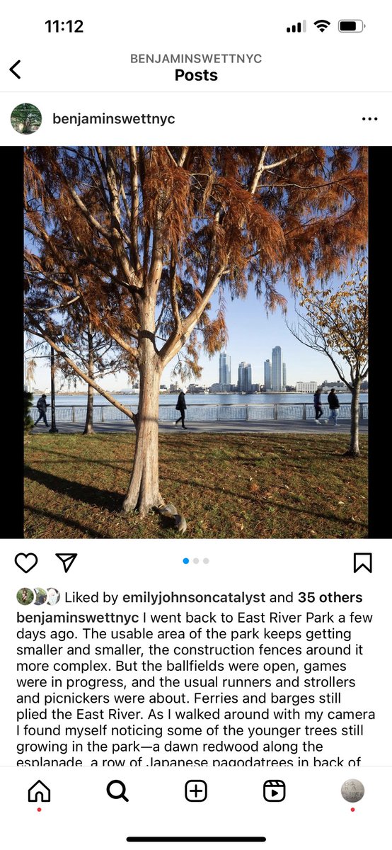 a thousand people a thousand trees tweet media