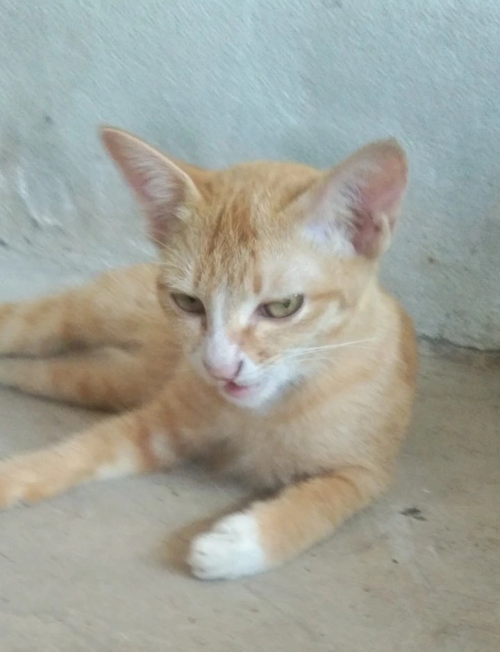 ม่อนทำหน้าดุทำไม