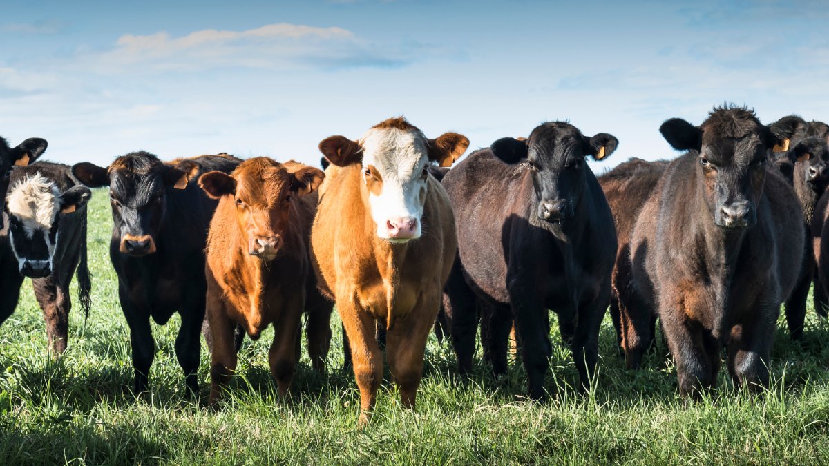 Analytical & Circular Chemistry tweet media