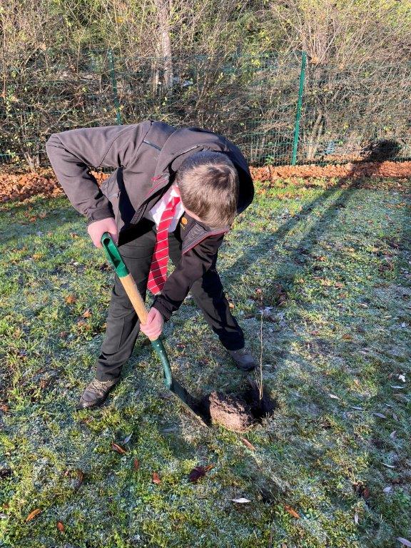 RushcliffeSA's tweet photo. This week members of the Eco-Club have planted 200 saplings to increase the biodiversity of our school grounds and help the local environment.🌳

We planted trees such as English Oak, Hawthorn and Silver Birch. It's great to see the students get so involved in helping our planet! https://t.co/SvnIvlEGfq