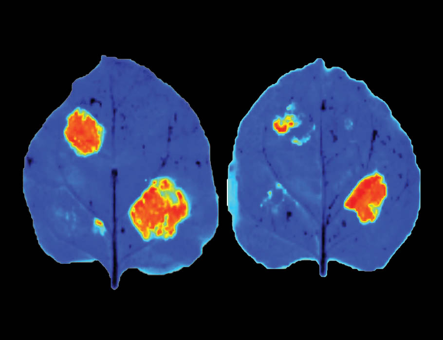 Science Magazine tweet media