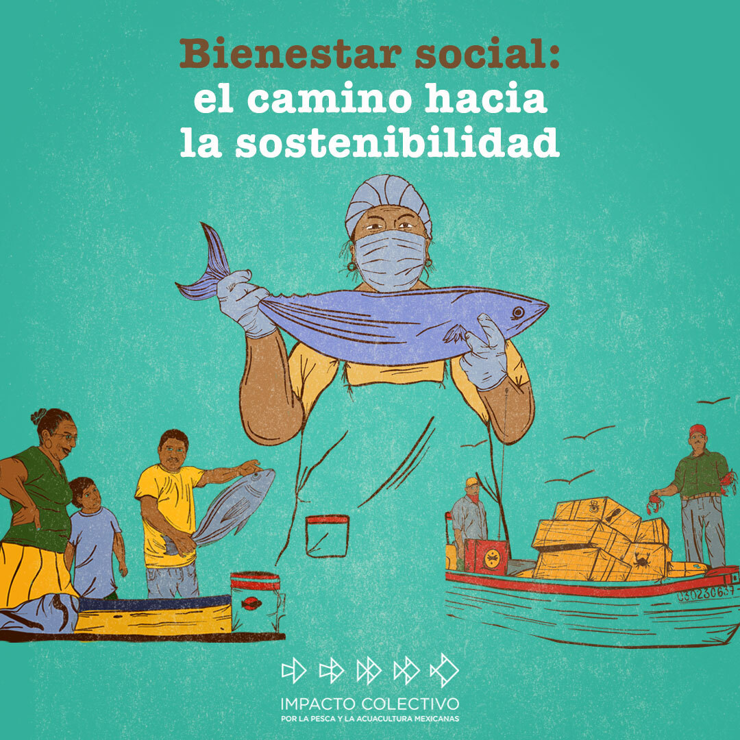Asegurar los derechos fundamentales de las comunidades pesqueras para lograr su #BienestarSocial es vital. Comparte esta información y entérate de más detalles en: icpmx.org/bienestar-soci… <a href="/CausaNatura/">Causa Natura Media</a> @NiparajaAC <a href="/EDF_Espanol/">EDF en Español</a> <a href="/cobi_mx/">COBI A.C.</a> <a href="/cedepesca/">CeDePesca</a>