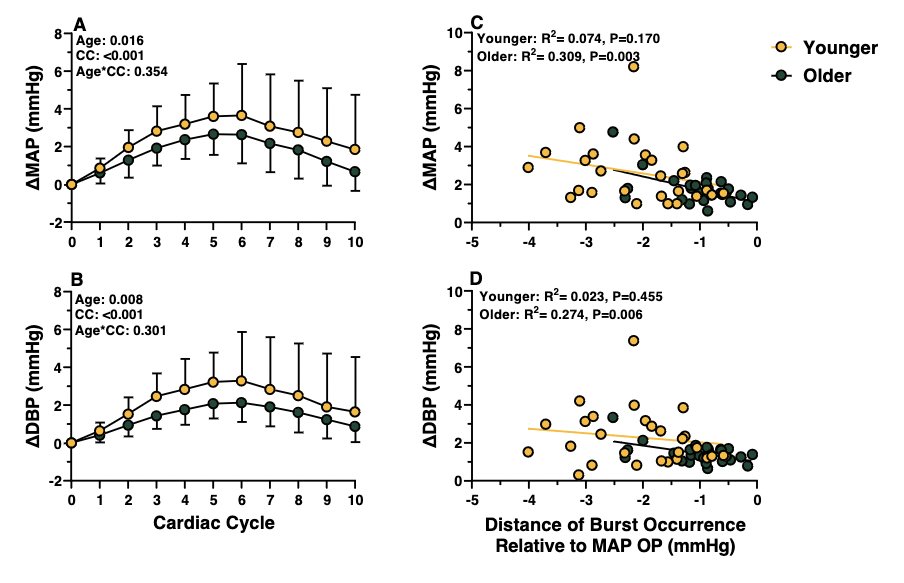 ajpheartcirc's tweet photo. #ArticlesInPress: Aging and Sympathetic Transduction to Blood Pressure in Humans: Methodological and Physiological Considerations
Bigalke ET AL
https://t.co/oibgPeWajz
@CarterPhysiol @BigalkeJeremy @EmilyLCleveland @RobbinsCollege
#Aging #SympatheticNervousSystem https://t.co/PdZLLDsIcw