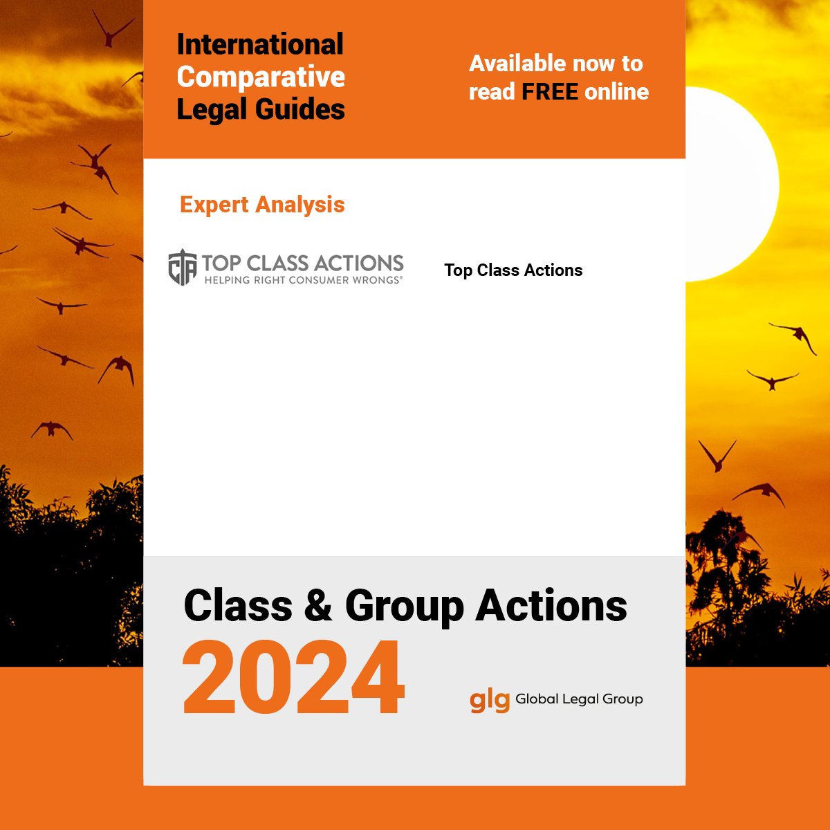 ICLG_GLG's tweet image. How is a successful #ClassAction case built? When is it worth continuing a case?

Discover the answers and more with @TopClassActions as it explores the major role that class actions have played in #American history in ICLG #ClassAndGroupActions 2024⬇️obi41.nl/bddb3uhy
