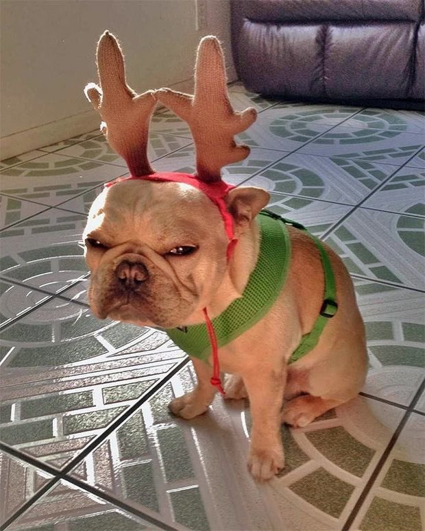 You think i like Christmas?