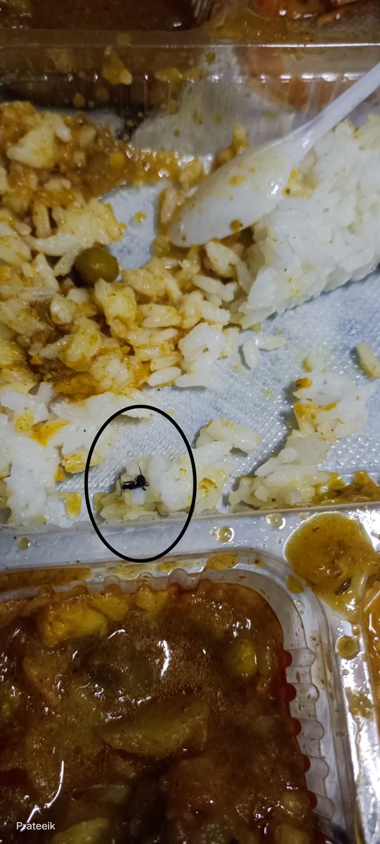 pkmonster007's tweet photo. PNR:2752928504
Trn:14803
Coach Sl- S4,59
Jaisalmer to Sabrmti.
Its bad day. Near Jodhpur a guy from Food plaza Came and We ordered 9 fixed dish from Him and What we Find is Seen in below pic @IRCTCofficial @eCateringIRCTC @AshwiniVaishnaw sir
Should ban this type of Food supplir https://t.co/AybeO3q4kx
