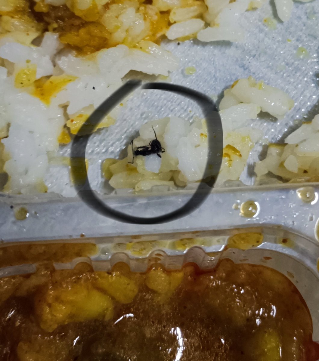 pkmonster007's tweet photo. PNR:2752928504
Trn:14803
Coach Sl- S4,59
Jaisalmer to Sabrmti.
Its bad day. Near Jodhpur a guy from Food plaza Came and We ordered 9 fixed dish from Him and What we Find is Seen in below pic @IRCTCofficial @eCateringIRCTC @AshwiniVaishnaw sir
Should ban this type of Food supplir https://t.co/AybeO3q4kx