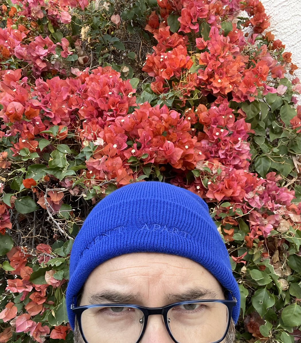 AverageAaron's tweet photo. Happy #BlueBeanieDay to all who observe.

https://t.co/LunlatSAHH

 #WebStandards #BlueBeanieDay #OpenWeb  #accessibility #WebDesignHistory #Webdesign https://t.co/MGkAgtmSOP