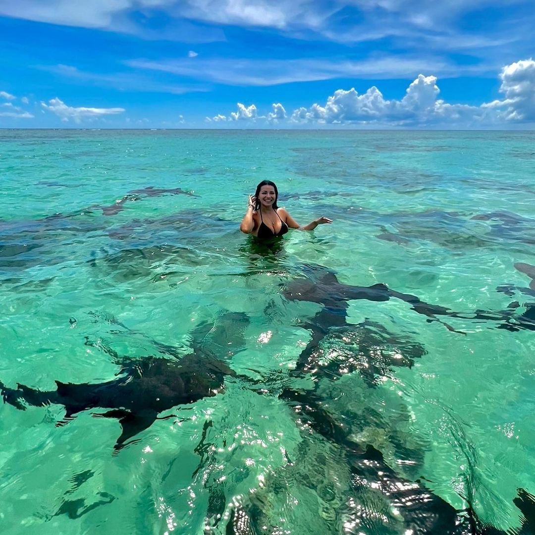 belizevacation's tweet image. Life is full of daring adventures, and swimming with nurse sharks at Caye Caulker is definitely one of them! Who's ready to feel the thrill of being up close with these magnificent creatures? 🌊🦈 #TravelBelize
IG 📷: @missbrittanie