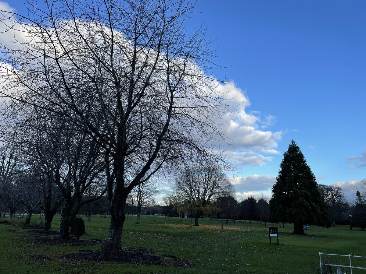 Mark Hopkins tweet media