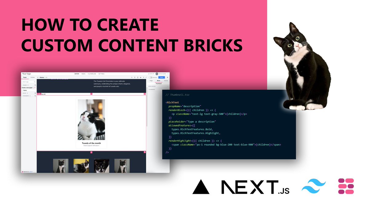 dsalinasgardon's tweet photo. My new tutorial is up! 🏇🏽🐴

I built on the knowledge of the last one and spiced "The Tuxedo Cat Chronicles," my React Bricks website with a couple of custom bricks.

Check it out: https://t.co/aF7ObGYSWG https://t.co/NkNducv5em