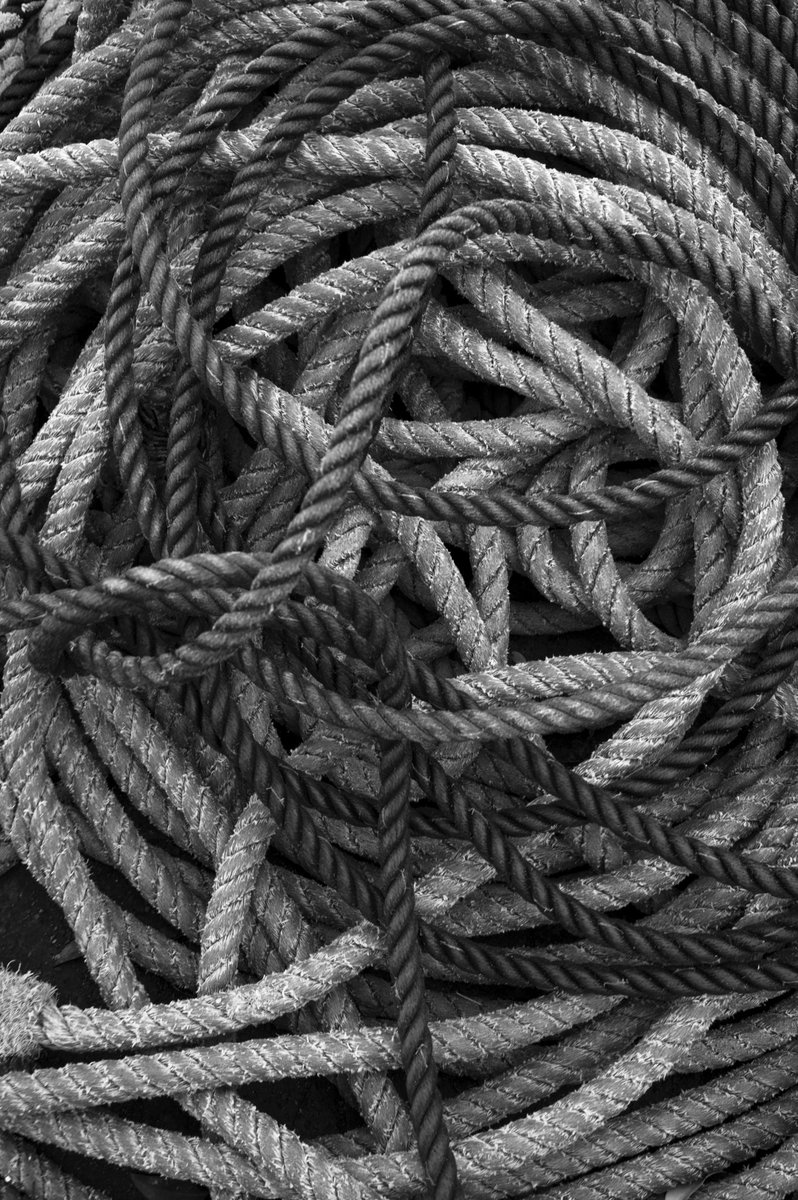 yasu_2501's tweet photo. Connection (shigarami)
#SIGMA
#SIGMAfp 
#SIGMAfpl
#9fp https://t.co/zOIWANLzXb