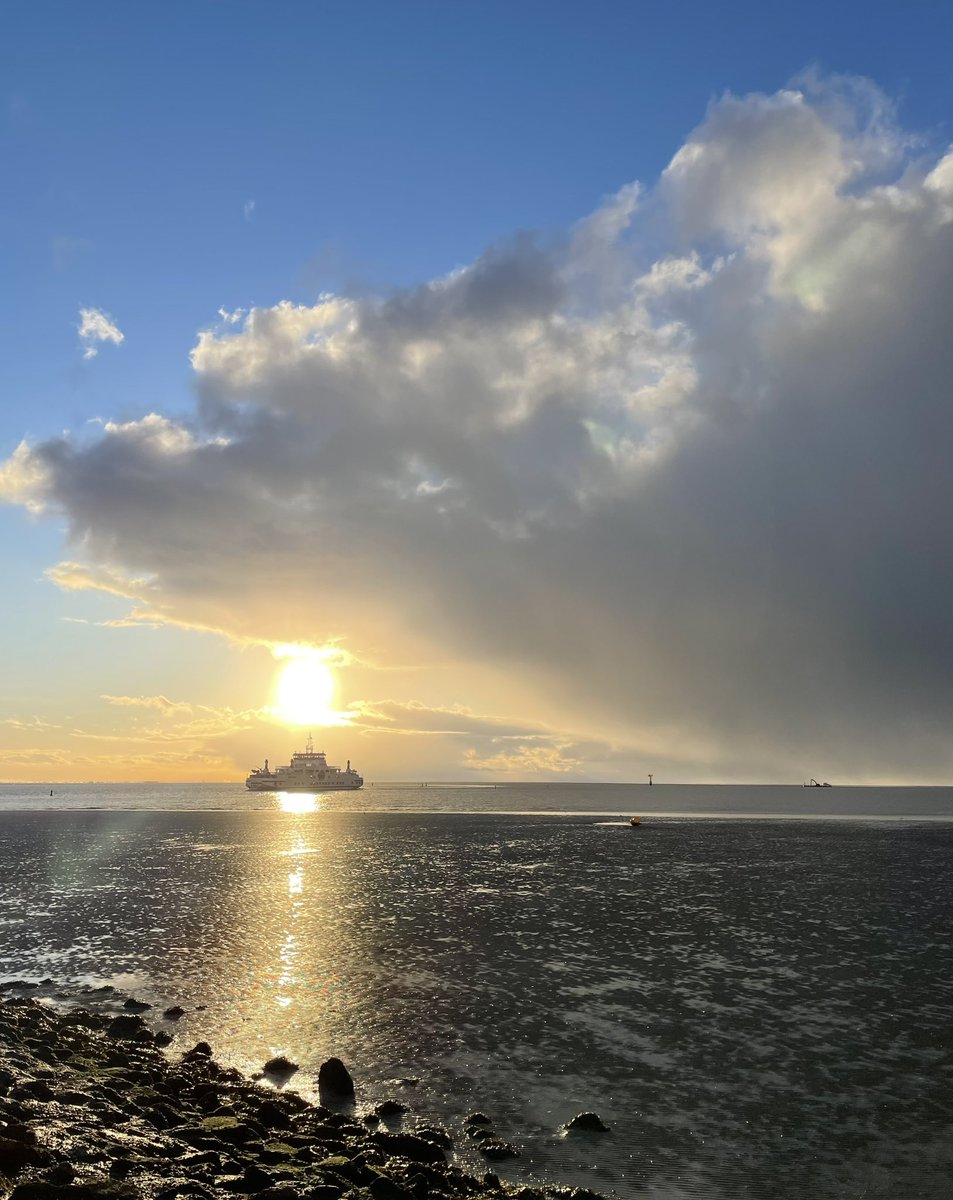 Vandaag was het voornamelijk grijs en wit ⛄️❄️
Maar vanmiddag zagen we ook nog de zon en blauwe lucht 🤩☀️
#ameland #waddenzee #wagenborg