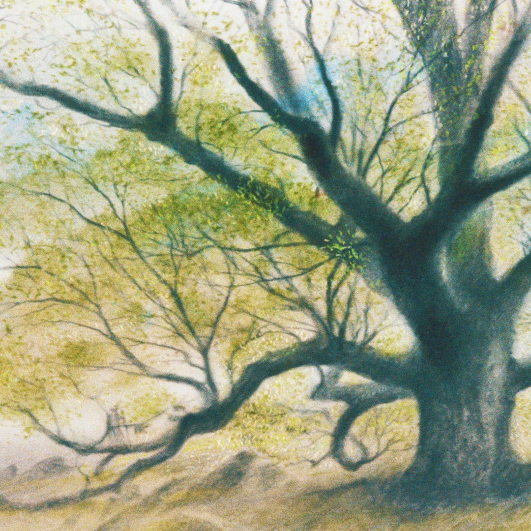 🌳PLANTATIONS CAPITALE(S)
🌱Le CAUE de Paris propose en partenariat avec la Ville de <a href="/Paris/">Paris</a>, des activités gratuites à destination du jeune public, pour découvrir la richesse et les enjeux du patrimoine arboré de la capitale. 1/3
👉caue75.fr/programme-en-f…