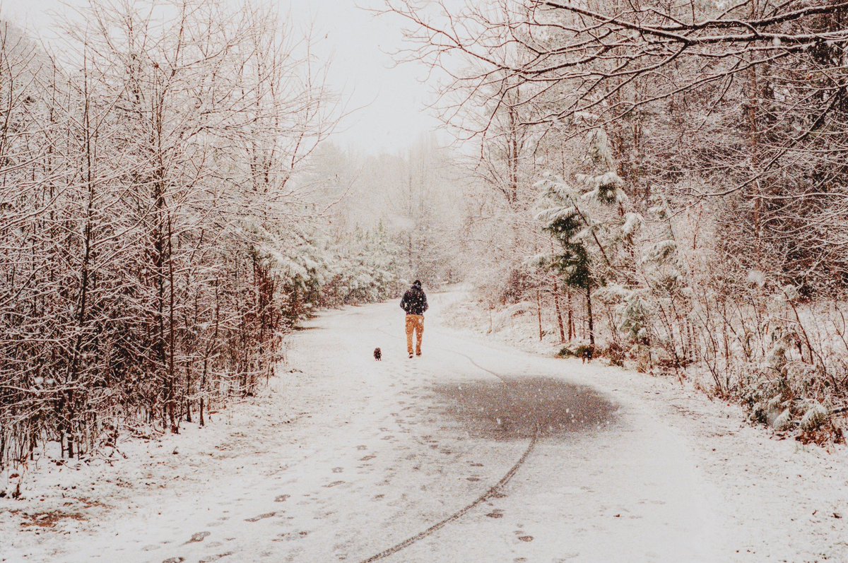 Kelsey Smith 💛🎞️ tweet media