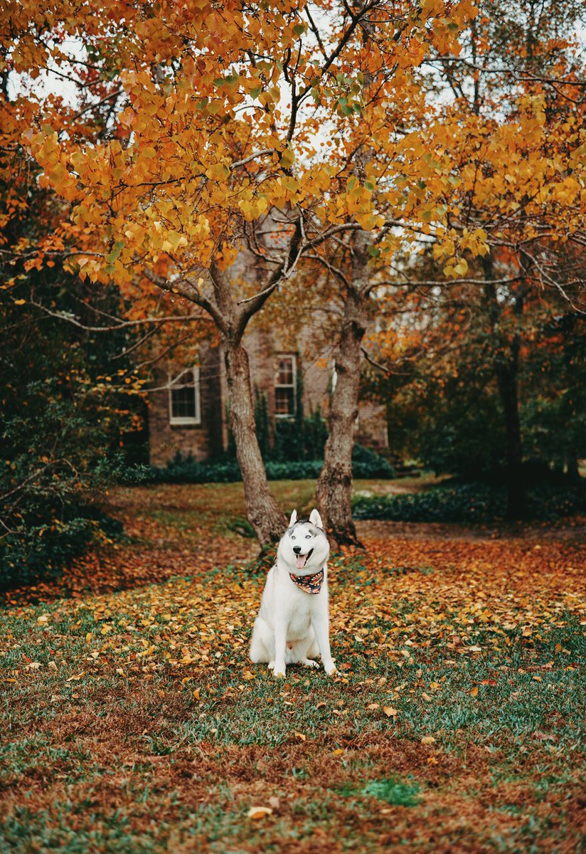 Kelsey Smith 💛🎞️ tweet media