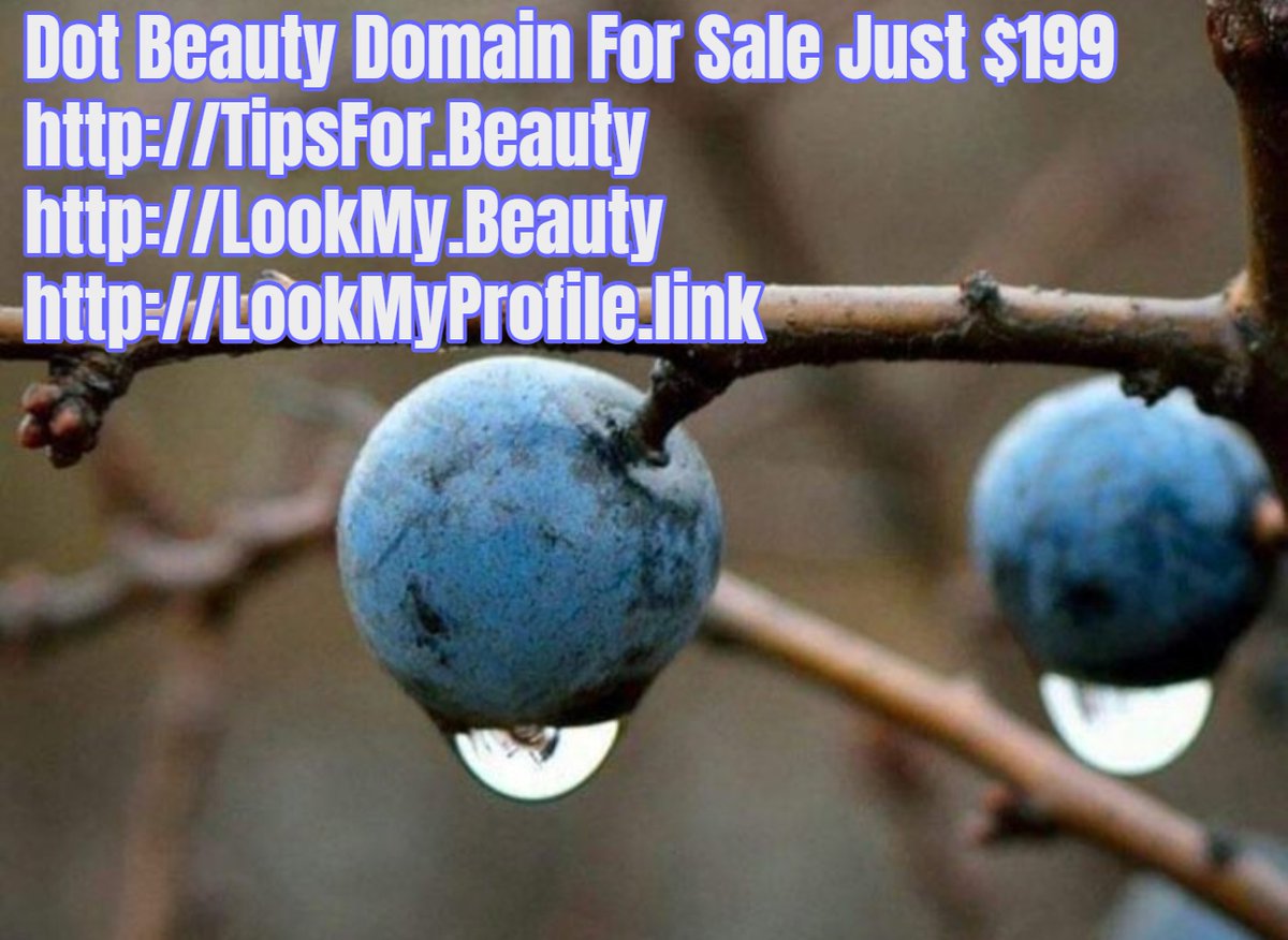 Domain Auction Showcase #DomainAuctionShowcase tweet media