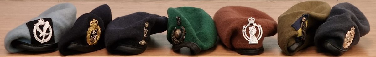 No.3 (South West) Small Arms Training Team RAFAC tweet media