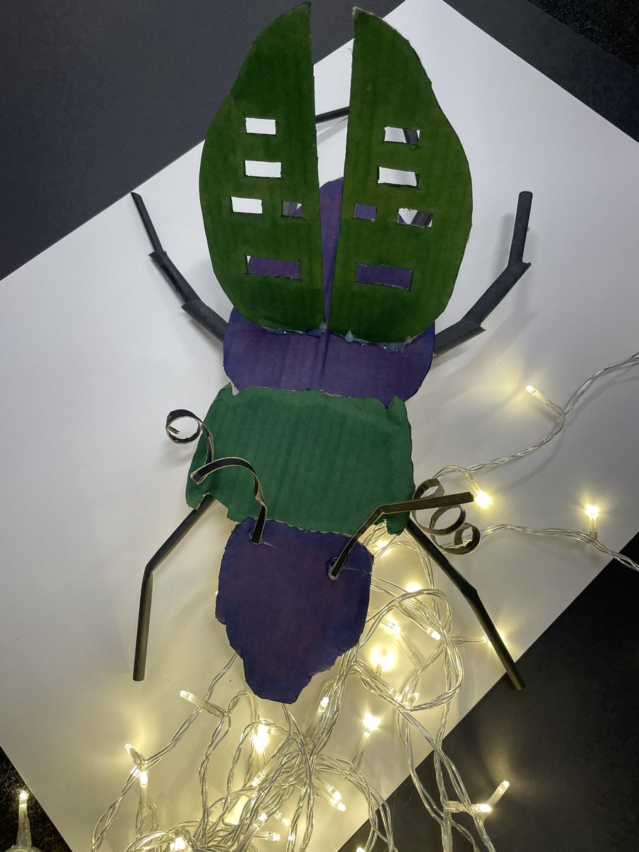 Staffaburdon's tweet photo. Such an amazing day with Soraya Phillips making these wonderful light sculptures #DHSBCCW https://t.co/1wdFEm8E3a