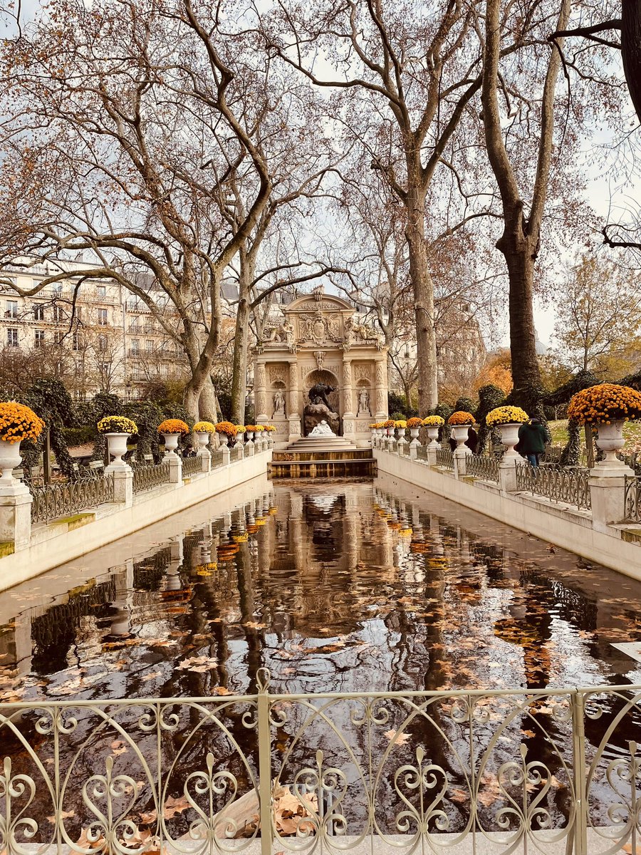 AnneMortier1's tweet photo. En passant, Jardin du Luxembourg

#Paris https://t.co/4aOJ4MdTW5