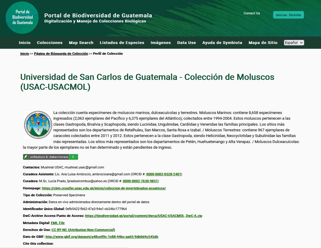 GuatemalaPortal's tweet photo. Las autoras, encargadas de la Colección de Moluscos #USACMol, son integrantes activas del @GuatemalaPortal y han digitalizado más de 1,600 especímenes con la ayuda de estudiantes y voluntarios. 
🟢https://t.co/Kl28wdX9On https://t.co/AFGCGITVL8
