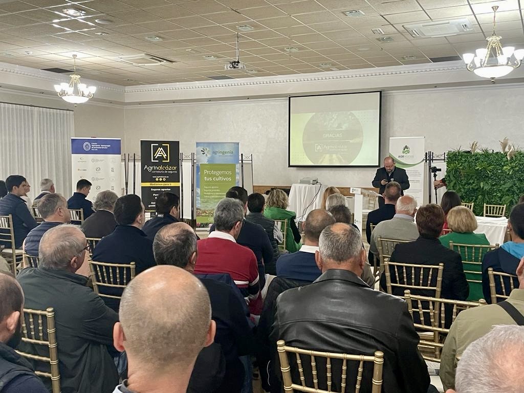 UCAMCatedraRSC's tweet photo. 👨‍🌾Más de 100 empresarios agrícolas han participado esta mañana en la I Jornada de Novedades en el Seguro Agrario de @agringenia. 🫒

@victormexeguer y @agrinalcazar  han abordado el tema de las ayudas a los programas operativos de las #OPFH. https://t.co/bN4B6l2BF2