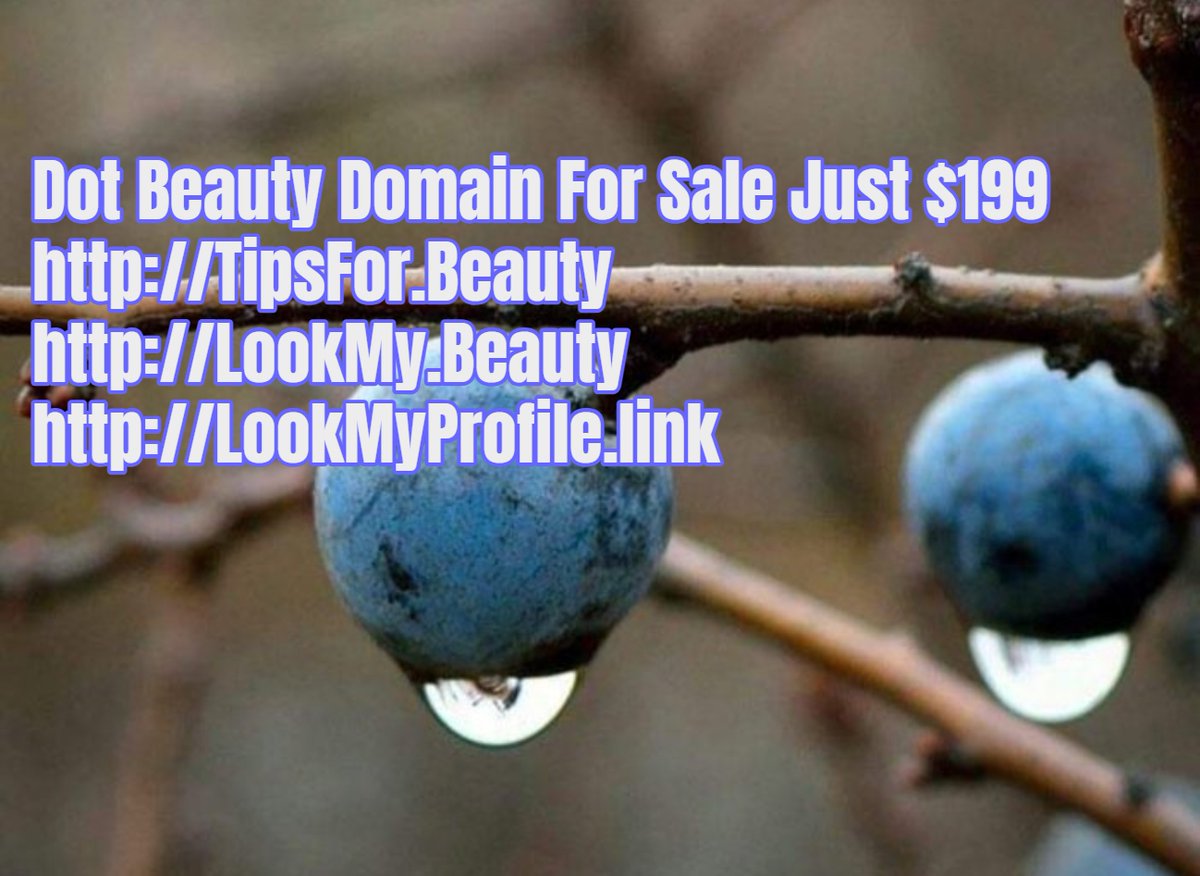 Domain Auction Showcase tweet media