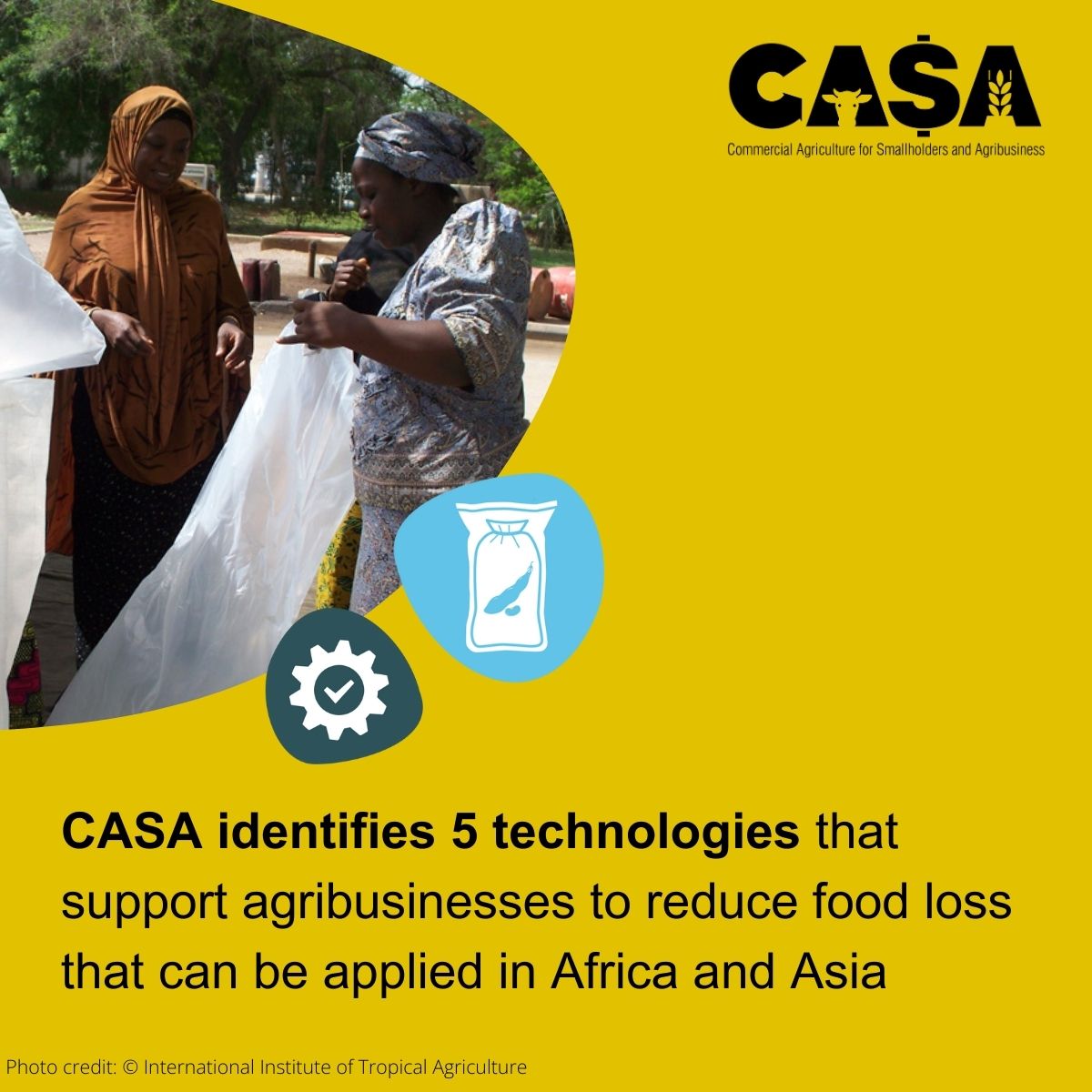 CasaProgramme's tweet image. 3⃣ agri-storage solutions would quickly improve food security, climate mitigation, and profit for commercially driven agribusinesses & smallholders.
Find out more, below:
New CASA report: bit.ly/CASA-reducing-…
News: casaprogramme.com/five-technolog…
1-pager: bit.ly/CASA-1-pager-f…