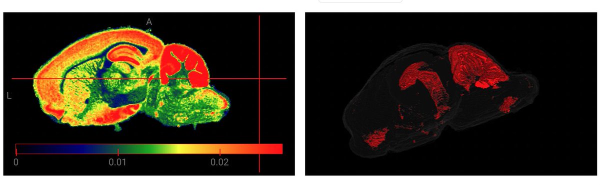"Excited to share our latest preprint on #MetaVision3D! 🧠🔬 We've taken a giant leap in #SpatialMetabolomics, #AI, allowing MALDI imaging to expand to its naturally intended 3D glory. bit.ly/3sMCjms