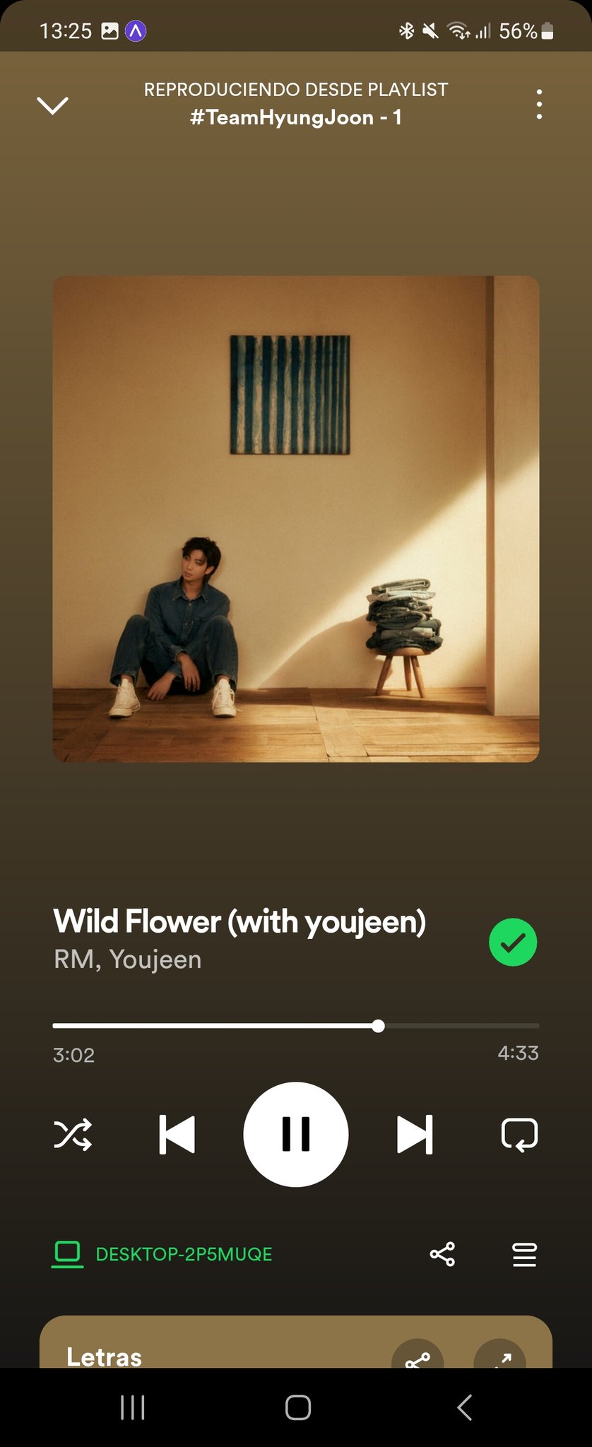 Confira a letra e tradução de “Wild Flower”, faixa de RM, do BTS