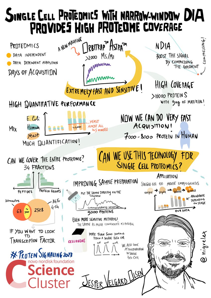 🚀 Here is @jespervolsen from @UCPH_CPR for the #proteomics session at #proteinsignaling2023 🗣️ The talk is about #SingleCell proteomics with narrow-window DIA provides high #proteome coverage #science #research @novonordiskfond