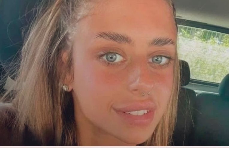 Frédéric Journès tweet media