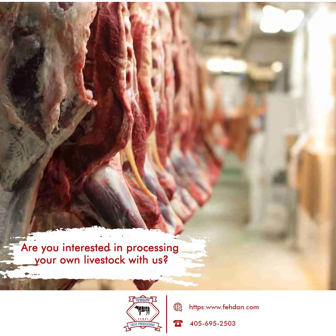 fehdanmeatp1's tweet photo. ✅We provide services to the United States Department of Agriculture (USDA) and offer custom processing, ensuring the highest level of care and well-being for our animals from the moment they arrive at our facility. https://t.co/M9gHvbf2qi