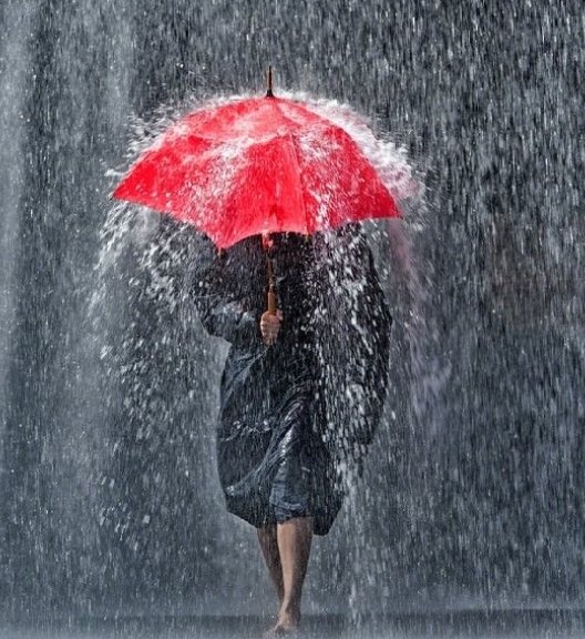 martin_adar's tweet photo. Umbrella becomes a burden to everyone the moment rain stops

That's how loyalty ends when benefits stop. https://t.co/w6zJWoIgEN