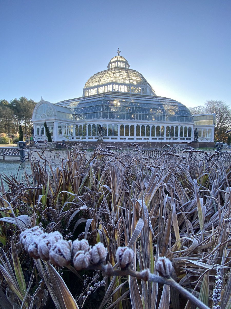 The sun beaming through the roof of @The_Palmhouse this morning