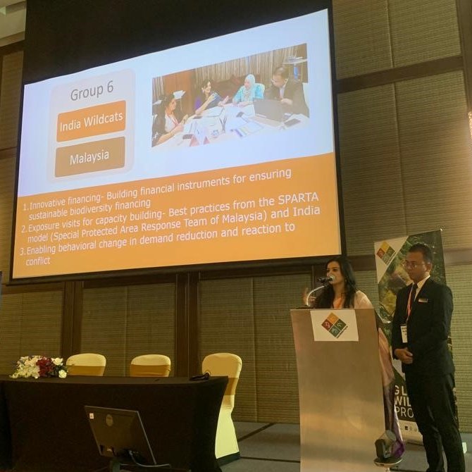 Global Tiger Forum tweet media