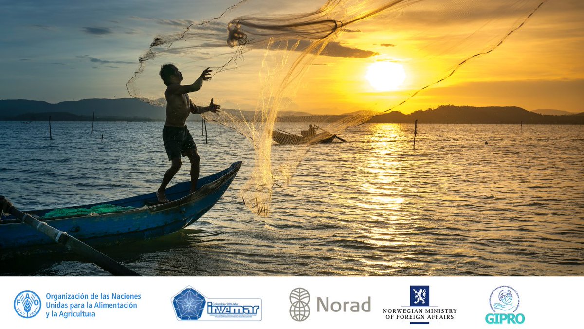 <a href="/noradno/">Norad</a> <a href="/FAOfish/">Fisheries & Aquaculture</a> <a href="/MintrabajoCol/">MinTrabajo</a> <a href="/AUNAPColombia/">aunapcolombia</a> <a href="/SENAComunica/">SENA</a> <a href="/AgroMSectorial/">Mesas Sector Agro</a> <a href="/Mesapescador/">Conf. Mesa Nal Pesca</a> <a href="/OITAndina/">OIT Países Andinos</a> <a href="/MinAgricultura/">Min. de Agricultura</a> <a href="/AgronetMADR/">Agronet</a> Los requisitos para acceder a este seguro estacional:
🎣Tener la pesca artesanal como fuente principal de ingresos para su subsistencia y la de su familia
🐟Acreditar al menos el 70% de sus capturas correspondan a la especie vedada
🔷Registro como pescador ante la <a href="/AUNAPColombia/">aunapcolombia</a>
