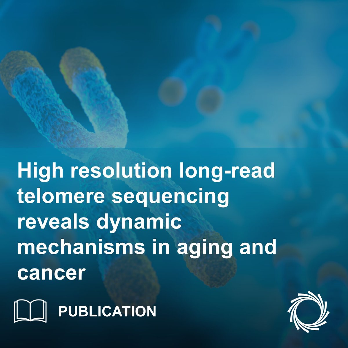 Oxford Nanopore (@nanopore) on Twitter photo Learn how <a href="/KarlsederLab/">The Karlseder Lab</a> & team used nanopore technology to investigate telomere shortening during cellular aging.
Check out how they also studied how alternative lengthening of telomeres and telomerase impact iPSCs and cancer cells.
Read more: bit.ly/46AgRPb Learn how <a href="/KarlsederLab/">The Karlseder Lab</a> & team used nanopore technology to investigate telomere shortening during cellular aging.
Check out how they also studied how alternative lengthening of telomeres and telomerase impact iPSCs and cancer cells.
Read more: bit.ly/46AgRPb