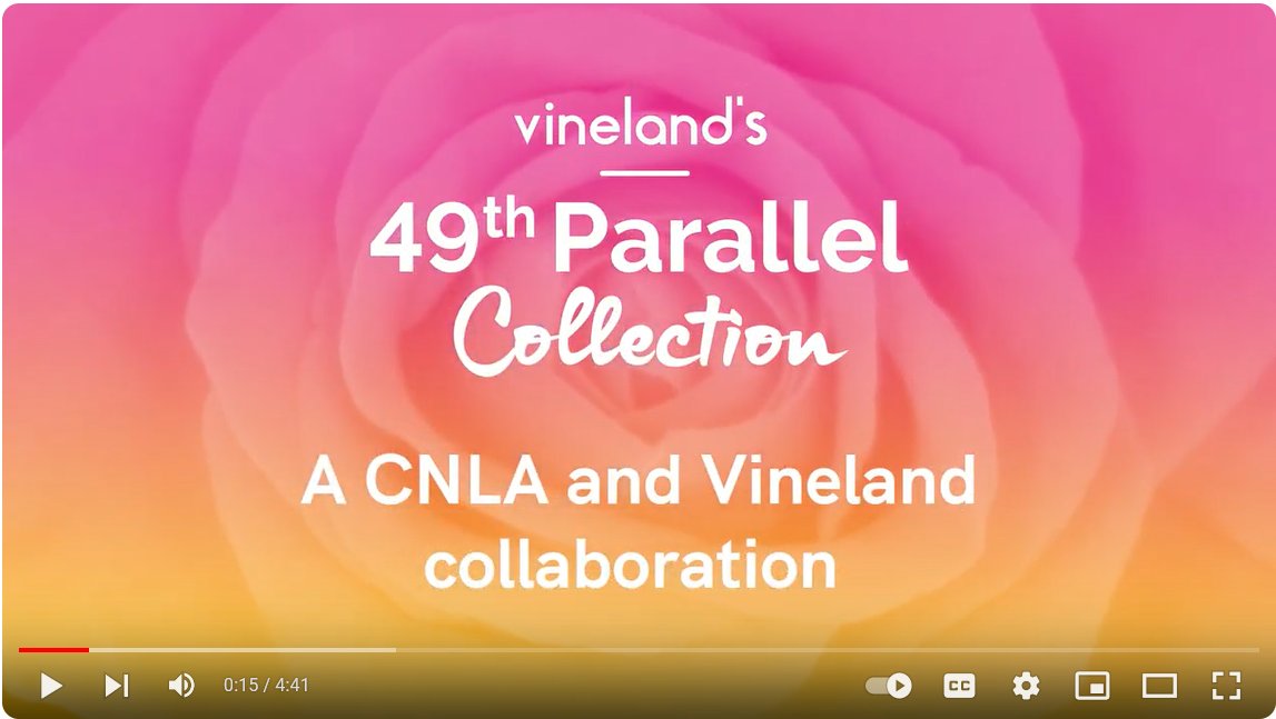 49throses tweet media