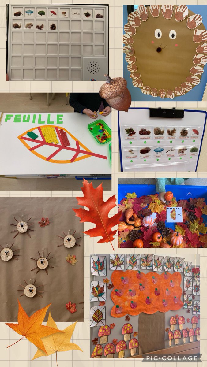 Maîtresse à SF (@mdedoublee) on Twitter photo 🍁On termine cette période sur l’automne <a href="/lelyceeSF/">Lycée Français de San Francisco</a> 🍁Travail sur le vocabulaire renforcé grâce aux supports de chez <a href="/Easytis/">Easytis</a> 🙏🏻 activités plastiques, histoires dans l’espace “écoute”,bac sensoriel,jeux et activités transdisciplinaires🍁 #SanFrancisco <a href="/ClasseDeDemain/">ClasseDeDemain</a> #Ilovemyjob 🍁On termine cette période sur l’automne <a href="/lelyceeSF/">Lycée Français de San Francisco</a> 🍁Travail sur le vocabulaire renforcé grâce aux supports de chez <a href="/Easytis/">Easytis</a> 🙏🏻 activités plastiques, histoires dans l’espace “écoute”,bac sensoriel,jeux et activités transdisciplinaires🍁 #SanFrancisco <a href="/ClasseDeDemain/">ClasseDeDemain</a> #Ilovemyjob