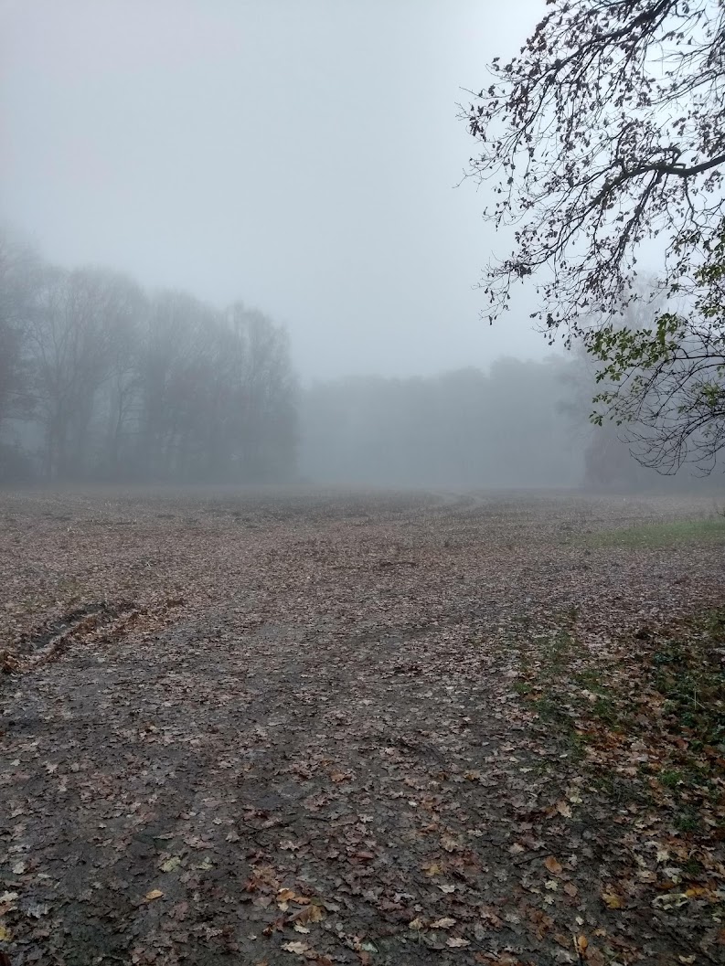 wimboermans's tweet photo. Wim Boermans Vosselaar 11.50 #vrtweer https://t.co/LLsy4JYirD