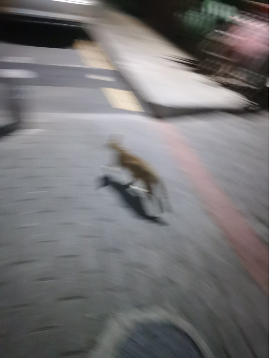 洗澡的时候一直在脑内循环“冬天一个游~”