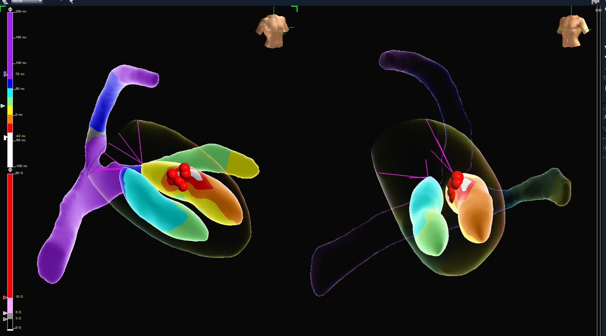 Jaylynn Markey tweet media