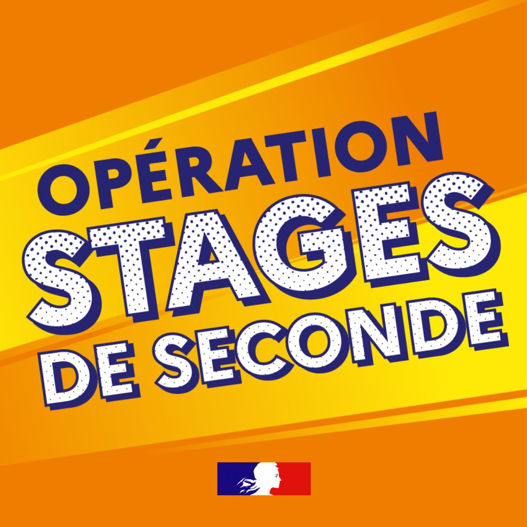 L'opération #MonStageDeSeconde est lancée !
Les élèves de 2nde générale et technologique suivront un stage d'observation en juin pour découvrir des métiers et préparer leur orientation. Entreprises, associations, nous avons besoin de vous pour accueillir nos lycéens !