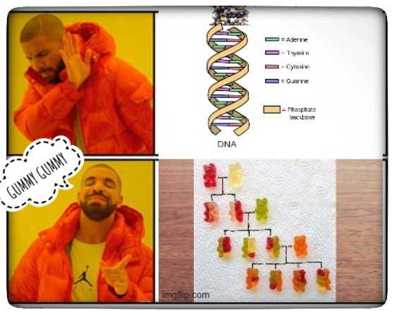 krishnakumar_ra's tweet photo. #GUMMY $GUMMY #GUMMYBEARS #TESLA $FROGE #FROGE $GROK #GROK #PEPEP $PEPE

@ethgummybear 

Check out the new alpha https://t.co/Im1e38FAud