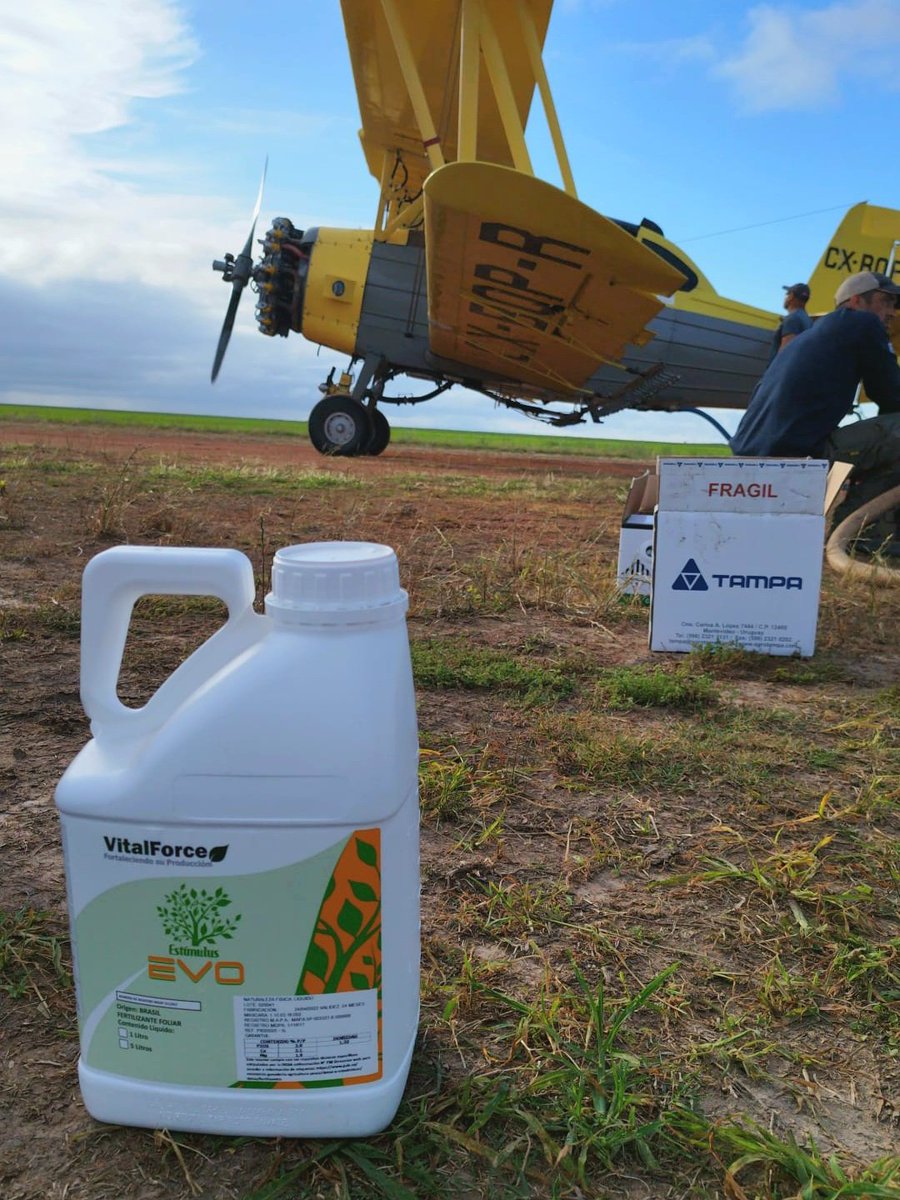 Hoy aplicación de herbicidas + Estímulus Evo en cultivo de arroz. Chacra del Ing y productor <a href="/Alfonso_Garcia3/">Alfonso Garcia</a> 

Contra la fito, vamos con Evo!! 

#arroz #sinestres