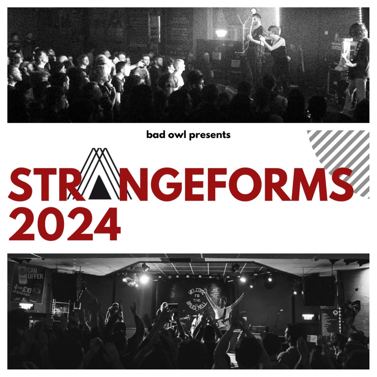 BadOwlPresents's tweet photo. StrangeForms 2024.
First twelve acts. Tomorrow. 10am. ๐
#StrangeForms #SF24 https://t.co/eRVWplBv1T