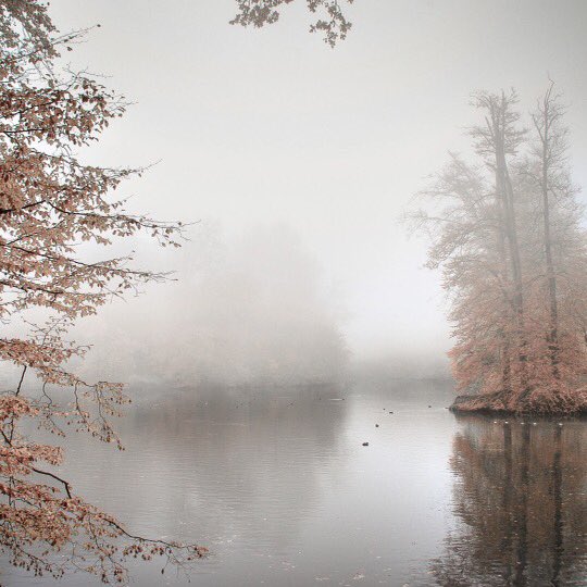 MoldovanWine's tweet photo. Today at the border between Autumn and Winter landscapes. Smells of #winter delights already on the way😍
A glass of red #wine or roasted chestnuts&amp;mulled wine🤩Harmonious taste inspired by beautiful cold weather.
A sweet warmth when outside is wintry🍷 
https://t.co/Z8t5Q3Y2eV https://t.co/quNjZoLsGo