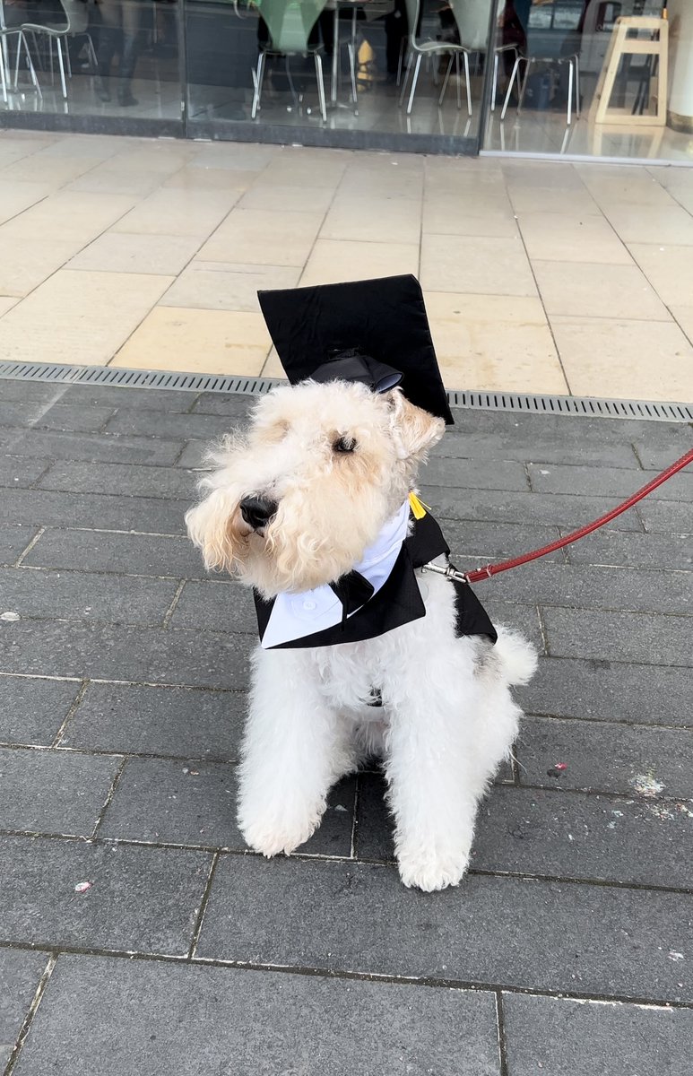That's a wrap on our 2023 winter graduations! 💛🎓 Congratulations to everyone who graduated today, we're proud to welcome you to our amazing alumni community ✨ Don't forget to tag us in your graduation pics! 📸 #WeAreWestminster