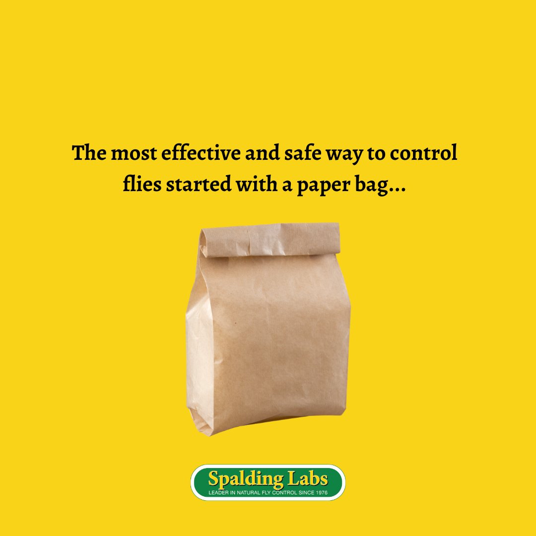Spalding Labs tweet media